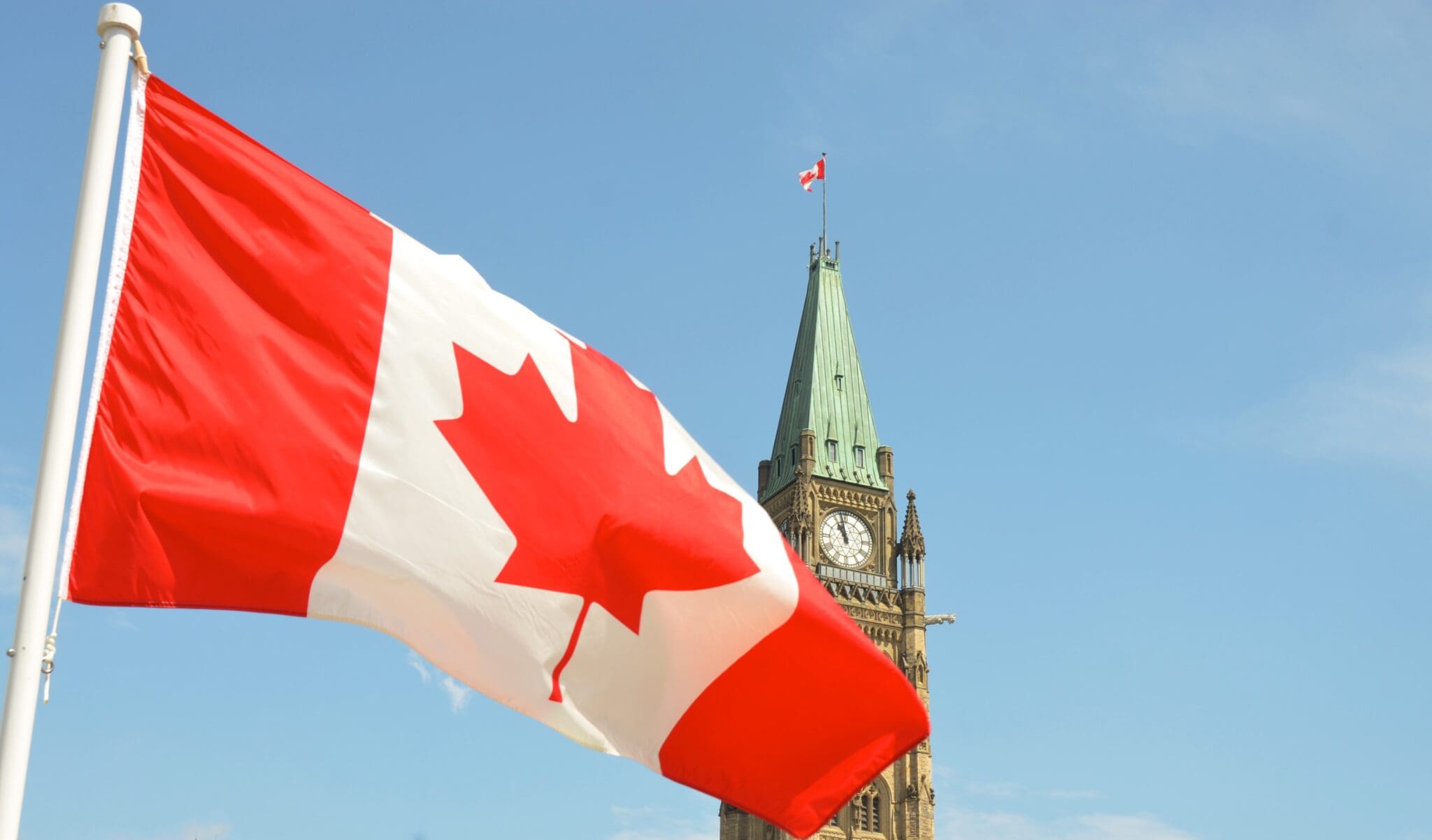 you do not qualify for a permanent resident visa in the self-employed persons class